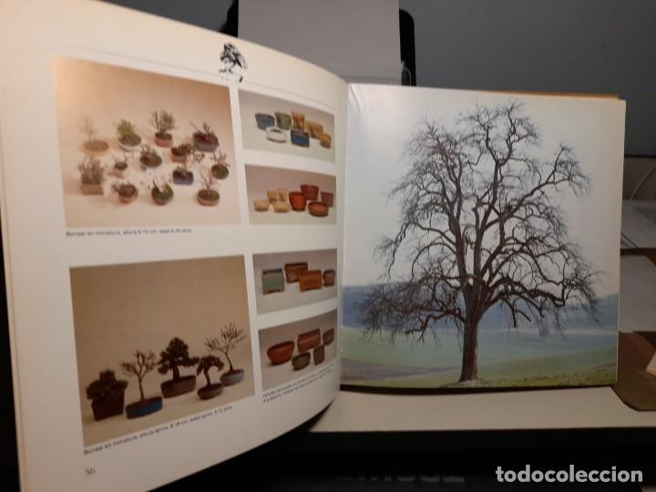 Libros: FANTASTICO LIBRO: BONSAI, ARBOLES EN MINIATURA - Foto 4