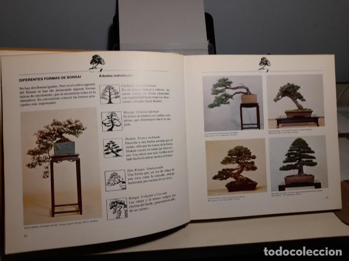 Libros: FANTASTICO LIBRO: BONSAI, ARBOLES EN MINIATURA - Foto 5