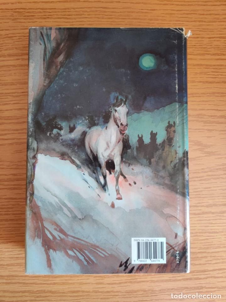 Libros: El Valle de los Caballos - Jean M. Auel. C&iacute;rculo de Lectores - Foto 2