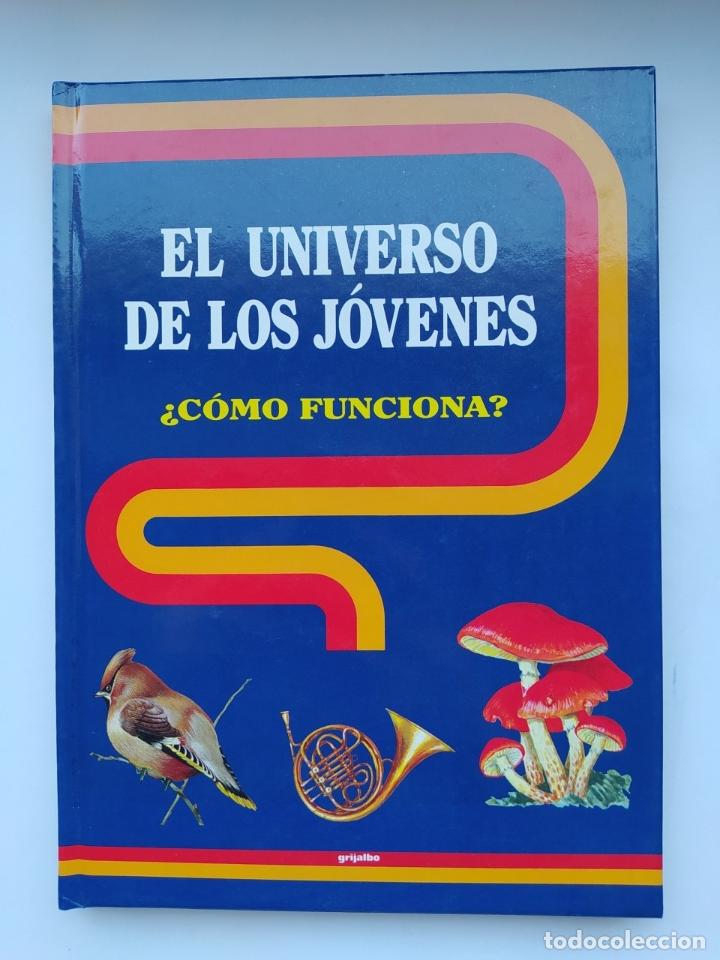 Libros: EL UNIVERSO DE LOS J&Oacute;VENES. &iquest;C&Oacute;MO FUNCIONA? - Neil Ardley. TDK579 - Foto 1