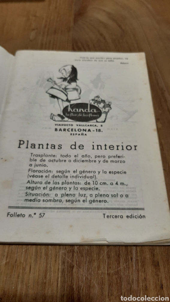 Libros: FOLLETO 57 PLANTAS INTERIORES KANDA - Foto 2