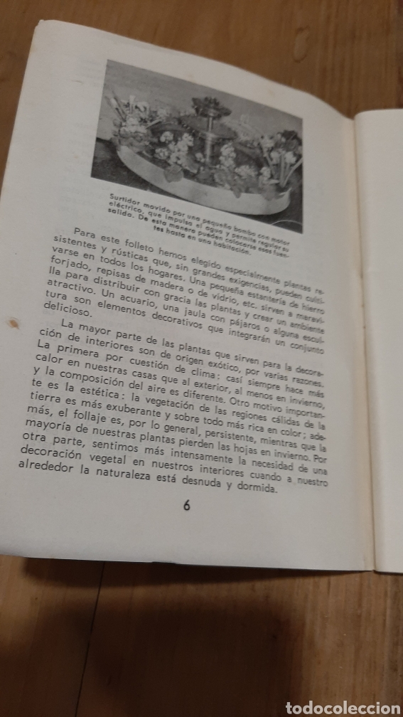 Libros: FOLLETO 57 PLANTAS INTERIORES KANDA - Foto 3
