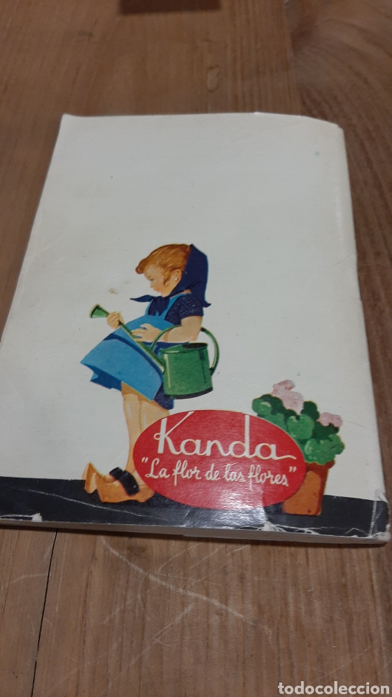 Libros: FOLLETO 57 PLANTAS INTERIORES KANDA - Foto 5
