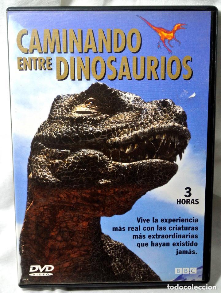Libri di seconda mano: DVD Caminando entre dinosaurios