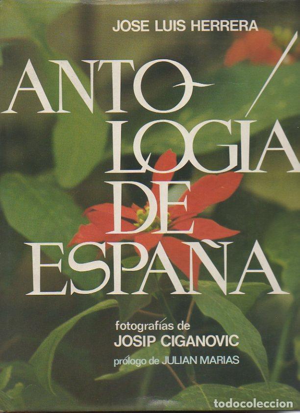 Libros: ANTOLOGIA DE ESPA&Ntilde;A. - HERRERA, Jos&eacute; Luis. - Foto 1