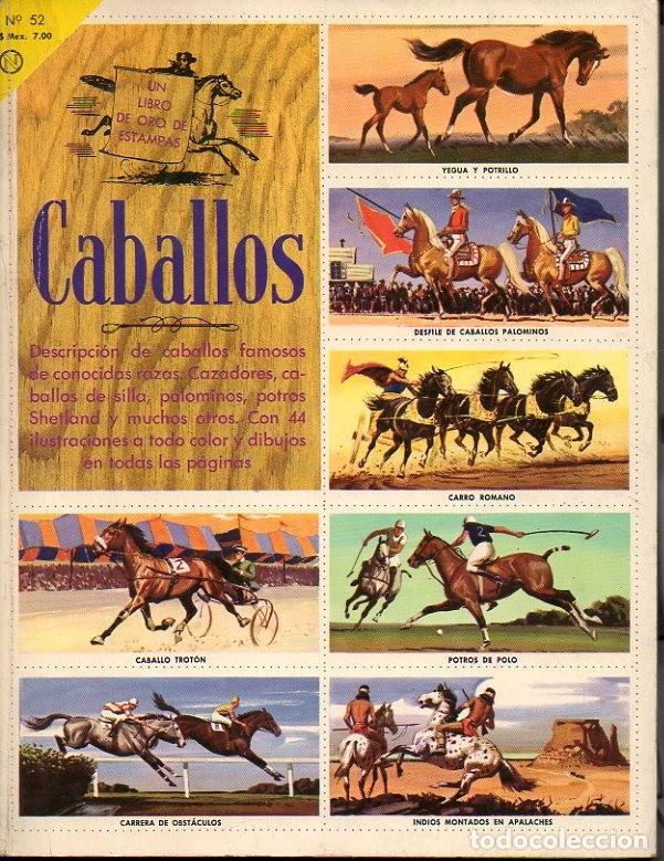 Libros: CABALLOS. - RACHLIS, Eugene. - Foto 1