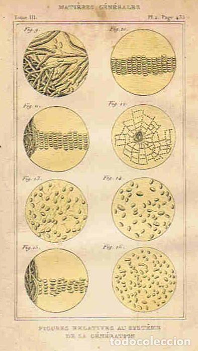 Libros: Oeuvres compl&Atilde;&copy;tes DE BUFFON. Avec les suppl&Atilde;&copy;ments augment&Atilde;&copy;e de la classification de G. CUVIER. To - Foto 2