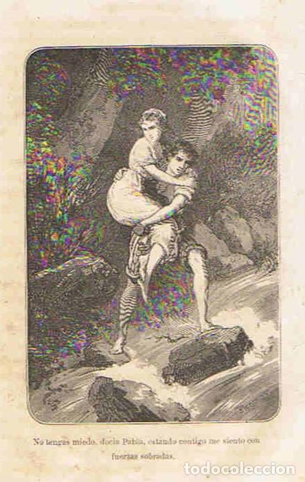 Libros: PABLO Y VIRGINIA - Saint-Pierre. Jacobo Bernardo Enrique de - Foto 3