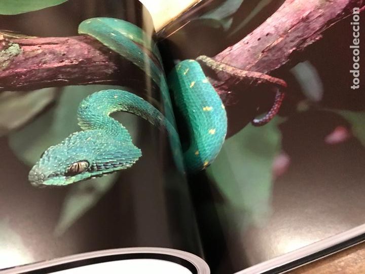 Libros: Angola. Belleza emergente. Chema Rodr&iacute;guez - Foto 2