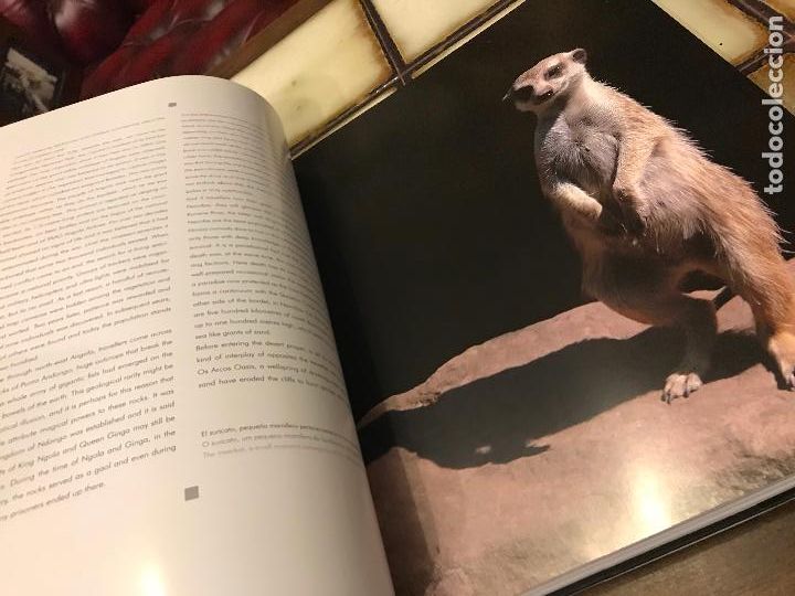 Libros: Angola. Belleza emergente. Chema Rodr&iacute;guez - Foto 4