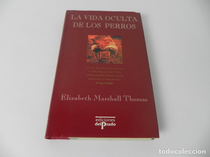 Libros: LA VIDA OCULTA DE LOS PERROS (ELIZABETH MARSHALL THOMAS) EDICIONES DEL PRADO-1994 - Foto 2