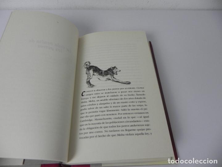Libros: LA VIDA OCULTA DE LOS PERROS (ELIZABETH MARSHALL THOMAS) EDICIONES DEL PRADO-1994 - Foto 4
