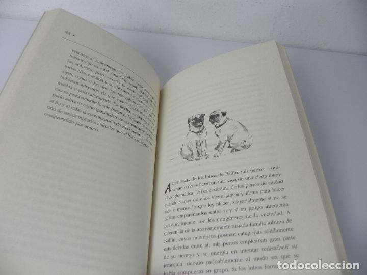 Libros: LA VIDA OCULTA DE LOS PERROS (ELIZABETH MARSHALL THOMAS) EDICIONES DEL PRADO-1994 - Foto 5