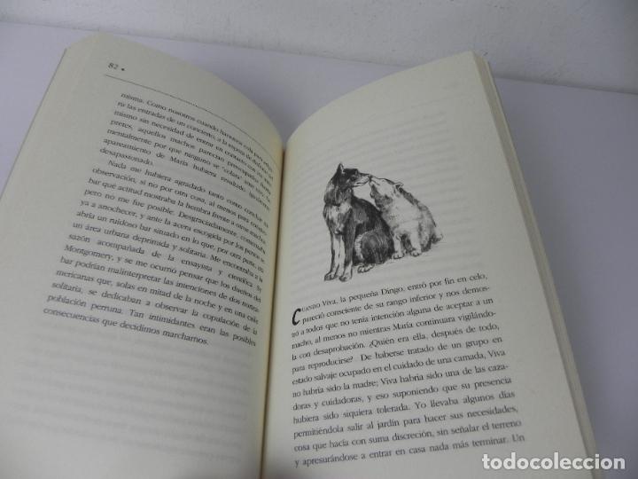 Libros: LA VIDA OCULTA DE LOS PERROS (ELIZABETH MARSHALL THOMAS) EDICIONES DEL PRADO-1994 - Foto 6
