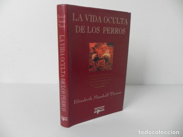 Libros: LA VIDA OCULTA DE LOS PERROS (ELIZABETH MARSHALL THOMAS) EDICIONES DEL PRADO-1994 - Foto 1