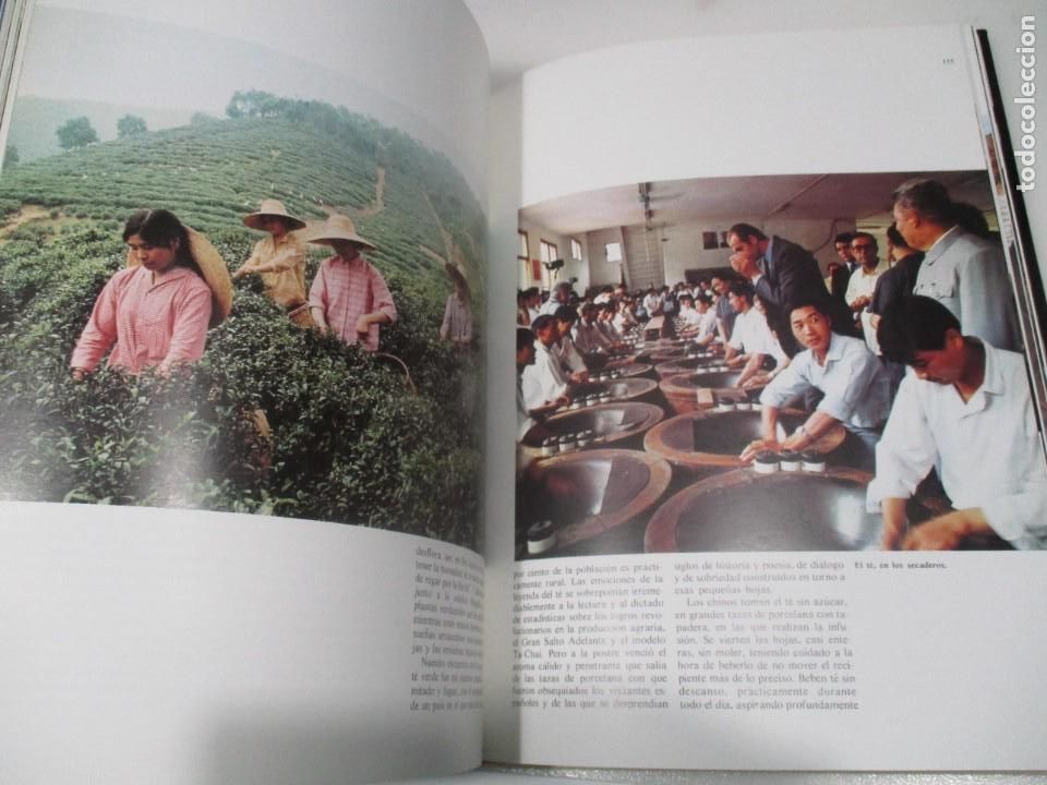 Libros: ALBERTO SCHOMMER 1978 Los Reyes viajan W8561 - Foto 5