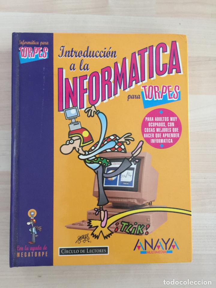 Libros: Introducci&oacute;n a la informatica para torpes - Kosme J. del Teso - Foto 1