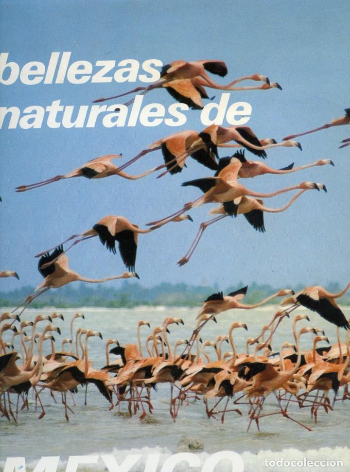 Libros: Bellezas naturales de Mexico - varios - Foto 1