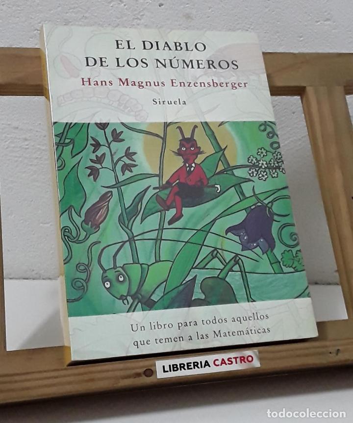 Libros: El diablo de los n&uacute;meros - Hans Magnus Enzensberger - Foto 1