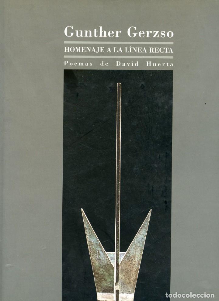 Libros: Gunther Gerzso Homenaje a la linea recta - David Huerta - Foto 1
