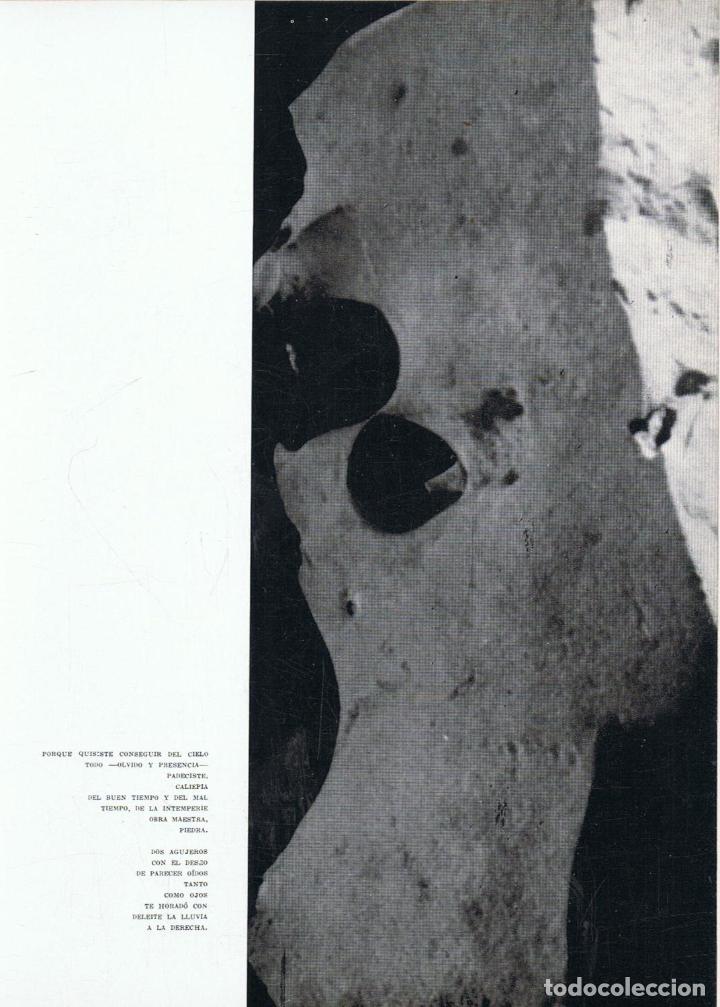 Libros: Pino. Francisco - DESAMPARO. Poes&Atilde;&shy;a - Foto 2