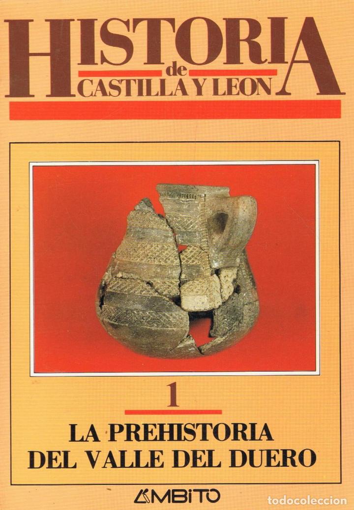 Libros: AA.VV - Historia de Castilla y Le&Atilde;&sup3;n. Vol. 1. LA PREHISTORIA DEL VALLE DEL DUERO