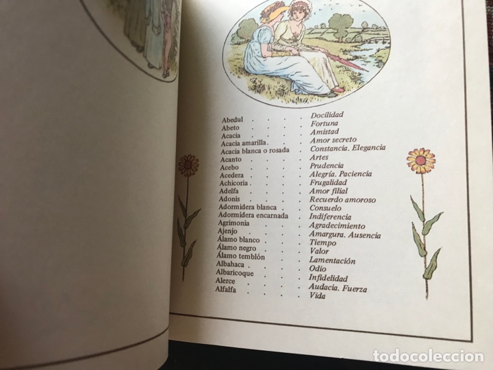 Libros: El lenguaje de las flores - Foto 2