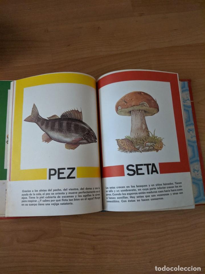 Libros: IM&Aacute;GENES Y PALABRAS - Foto 3