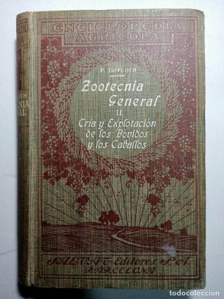 books: Zootecnia general II. Cr&iacute;a y explotaci&oacute;n de los b&oacute;vidos y los caballos / G. Wery
