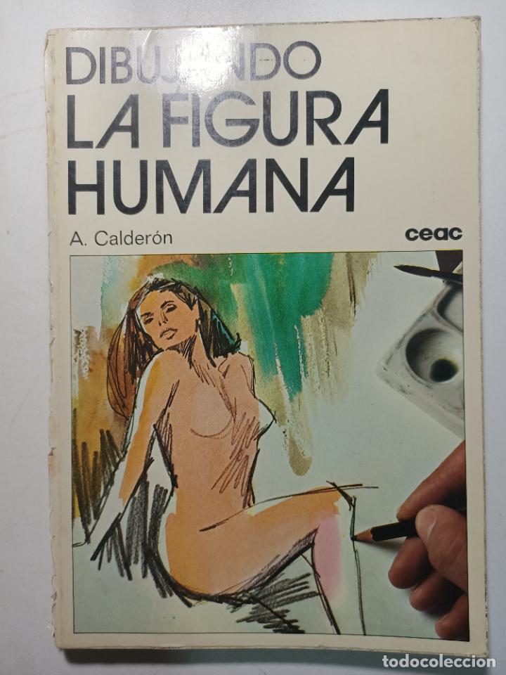 Libros: Dibujando la figura humana / Alfonso Calder&oacute;n - Foto 1