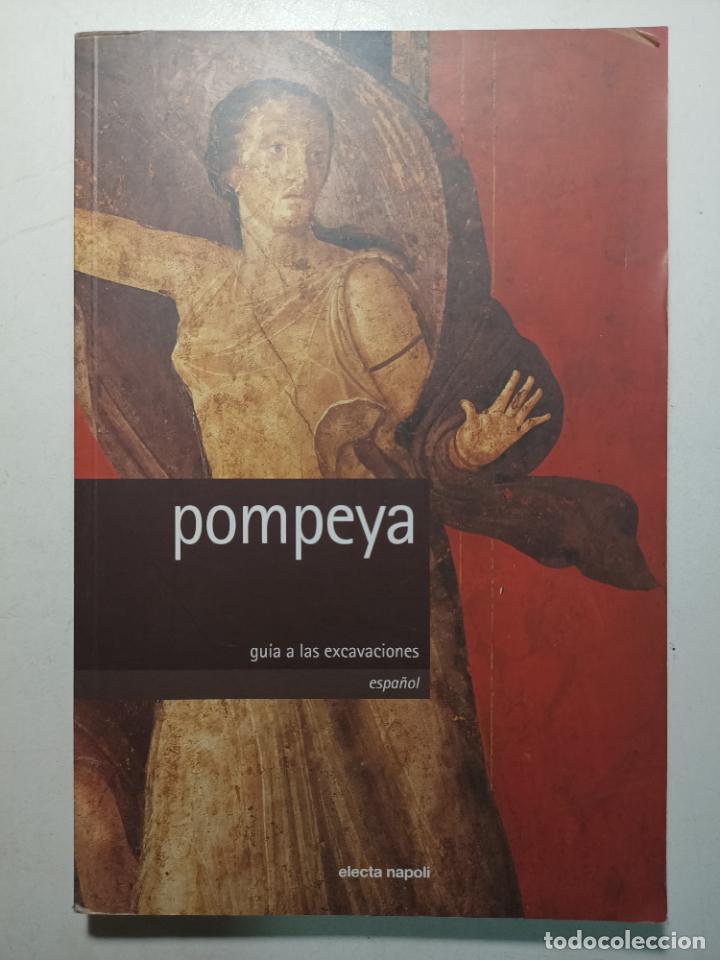 Libros: Pompeya, gu&iacute;a a las excavaciones / Pier Giovanni Guzzo / Antonio d&acute;Ambrosio / alfredo y Pio Foglia