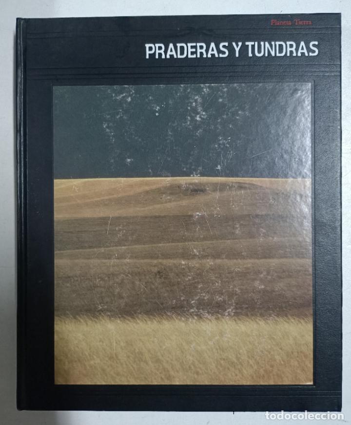 Libros: Praderas y tundras. Planeta tierra - Foto 1