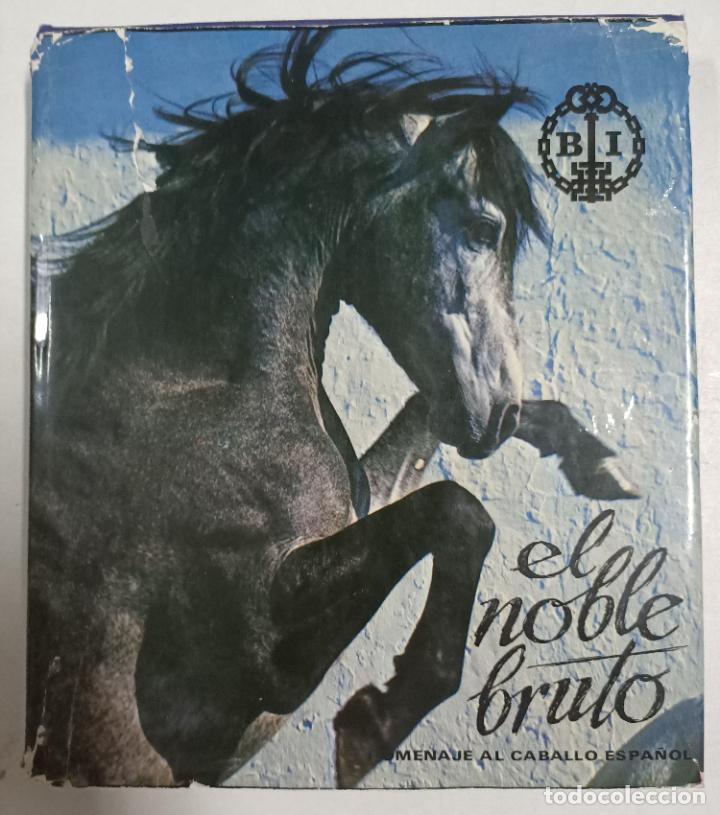 Libros: El noble bruto. Homenaje al caballo espa&ntilde;ol / Robert Vavra - Foto 1