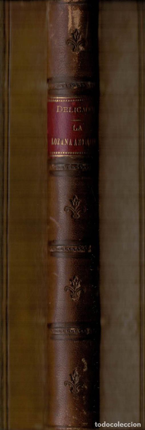 Libros: Delicado, Francisco. - LA LOZANA ANDALUZA. - Foto 2