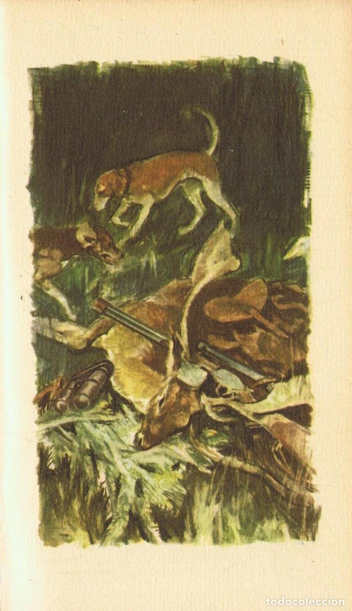 Libros: Vialar. Paul - LA ESCOPETA DE DOS CA&Atilde;�ONES - Foto 2