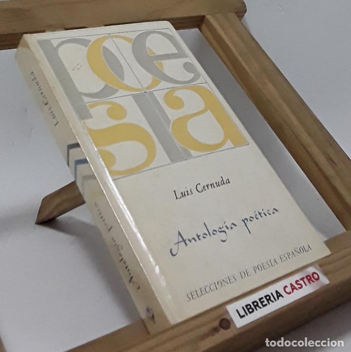 Libros: Antolog&iacute;a po&eacute;tica - Luis Cernuda - Foto 1