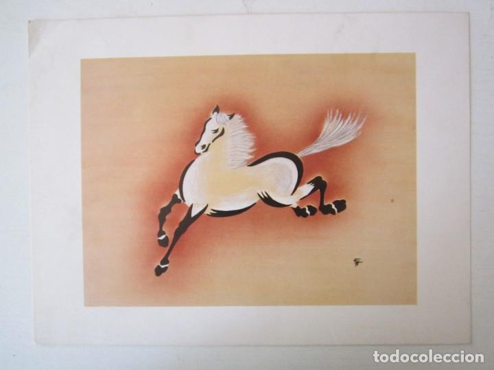 Libros: BONITA LAMINA DE CABALLO