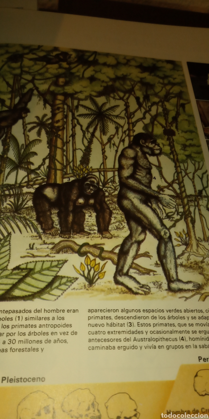 Libros: ATLAS DEL CUERPO Y DE LA MENTE I Y II. MITCHELL BEAZLEY. - Foto 3