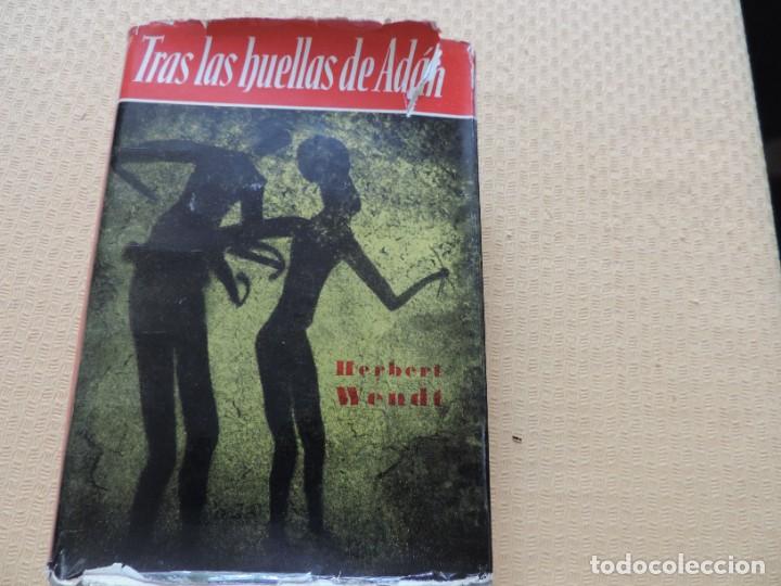 Libros: Tras las huellas de Ad&aacute;n (Herbert Wendt) Editorial Noguer - Foto 1