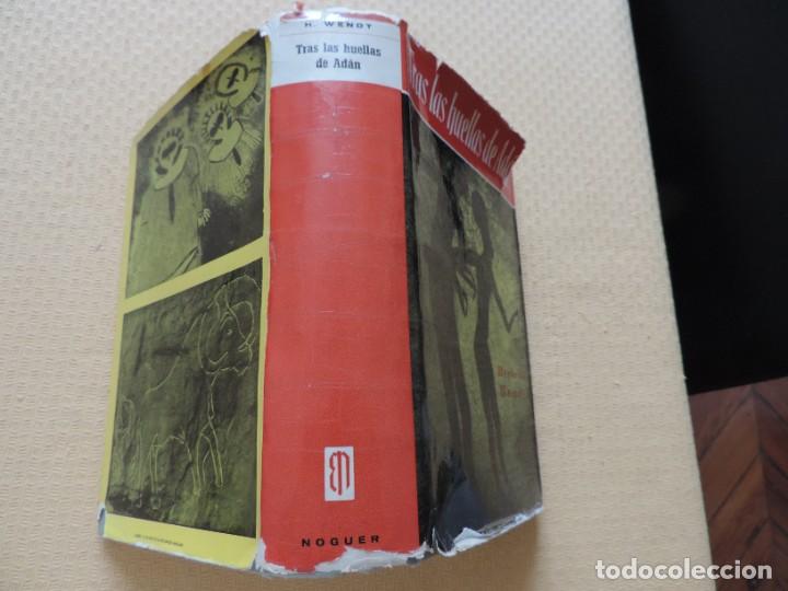 Libros: Tras las huellas de Ad&aacute;n (Herbert Wendt) Editorial Noguer - Foto 2