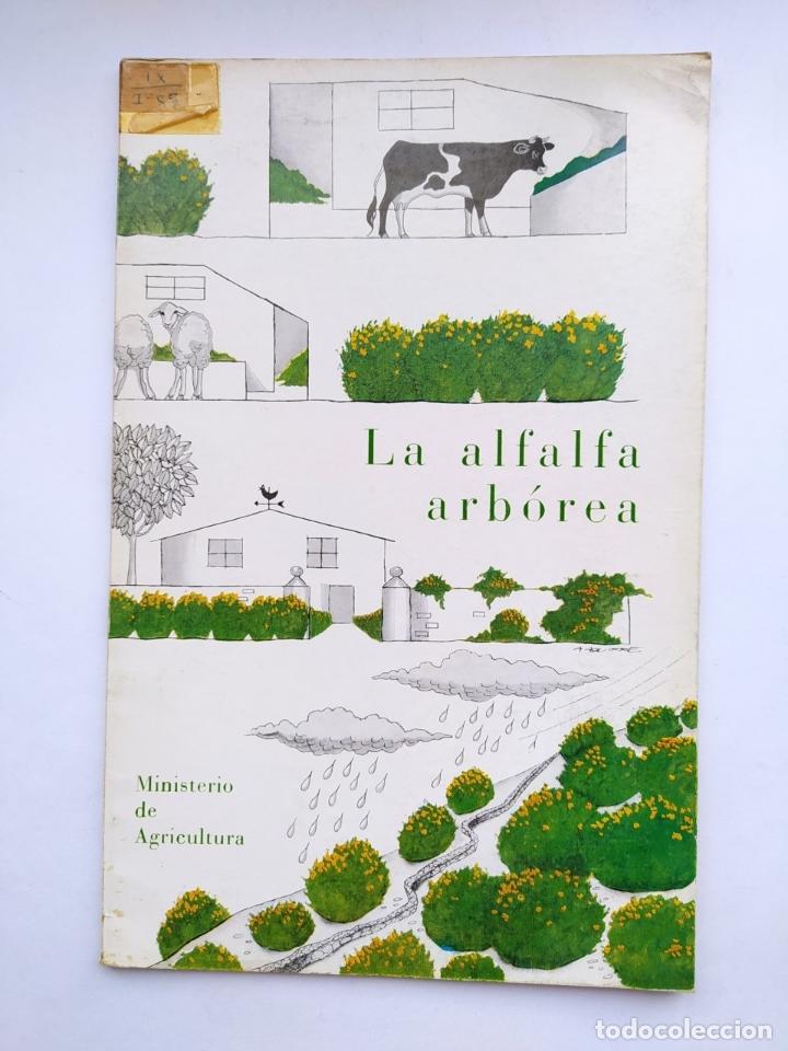 B&uuml;cher: LA ALFALFA ARB&Oacute;REA. - GUILLERMO DE OLIVES. TDK632