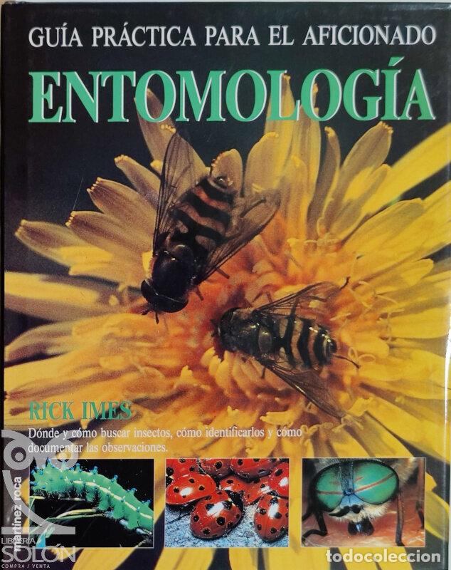 Libros: Gu&iacute;a pr&aacute;ctica para el aficionado. Entomologia - Rick Imes - Foto 1