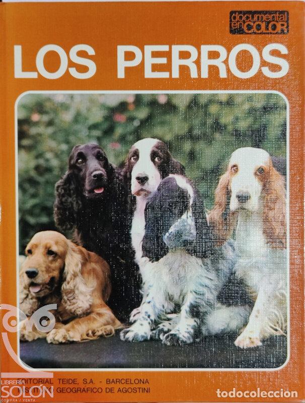 Libros: Los perros - Adriano Torregrossa - Foto 1