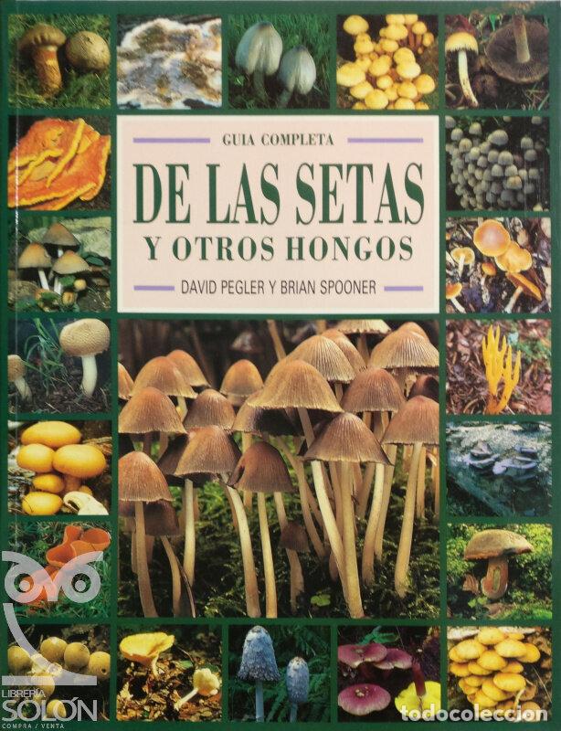 Libros: Gu&iacute;a completa de las setas y otros hongos - David Pegler/ Brian Spooner - Foto 1