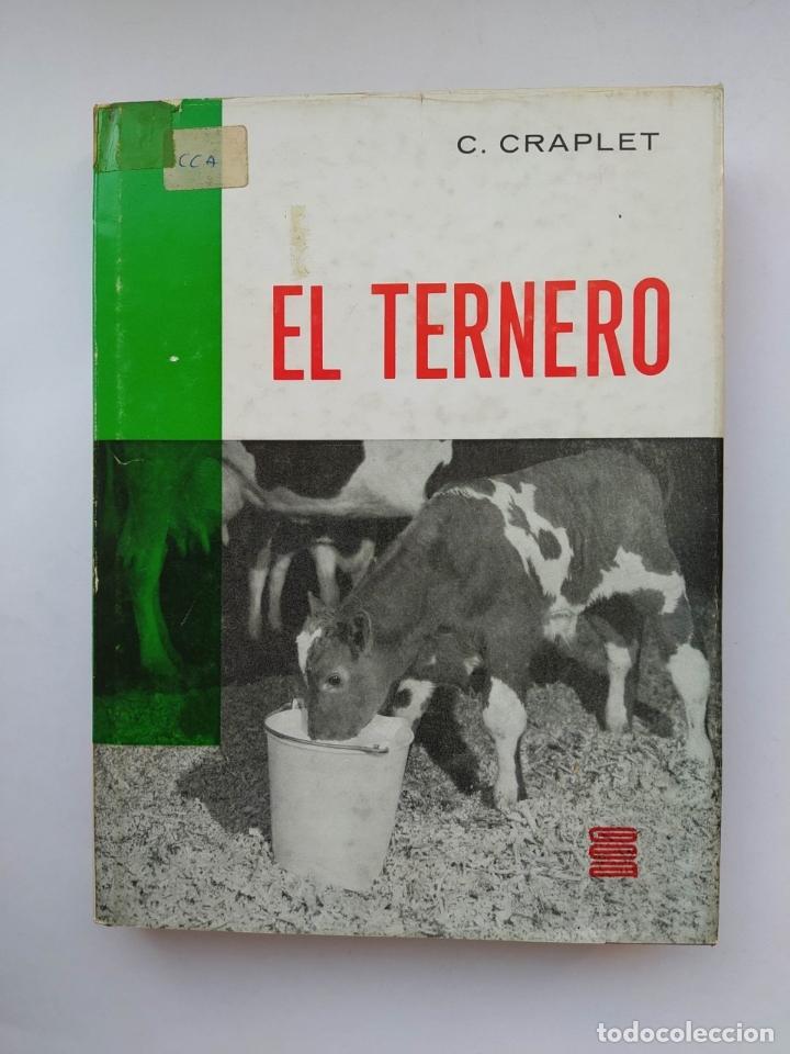 Libros: EL TERNERO. - C. Craplet. TDK646 - Foto 1