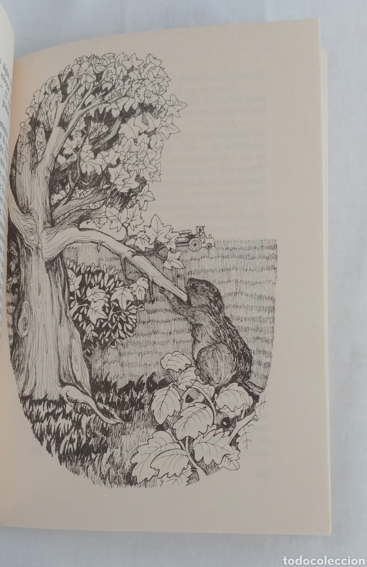Libros: EL R&Iacute;O DE LOS CASTORES. FERNANDO MART&Iacute;NEZ GIL. - Foto 6