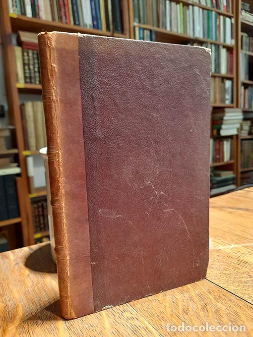 Libros: Pio IX. - BALMES, Jaime. - Foto 2