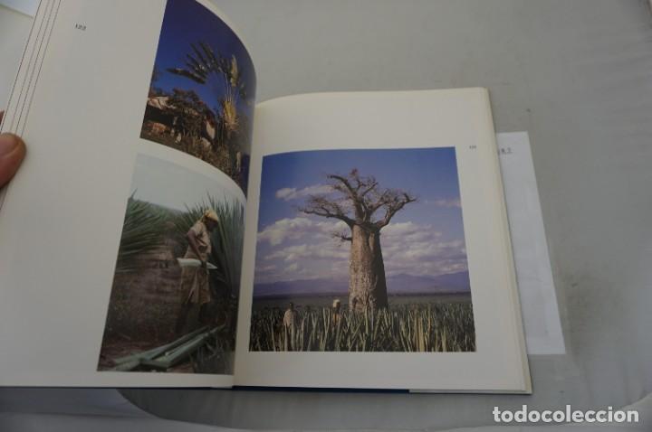 Libros: 13D/ &Iacute;NDICO - LUIS GOYTISOLO / CIRCULO DE LECTORES - Foto 7