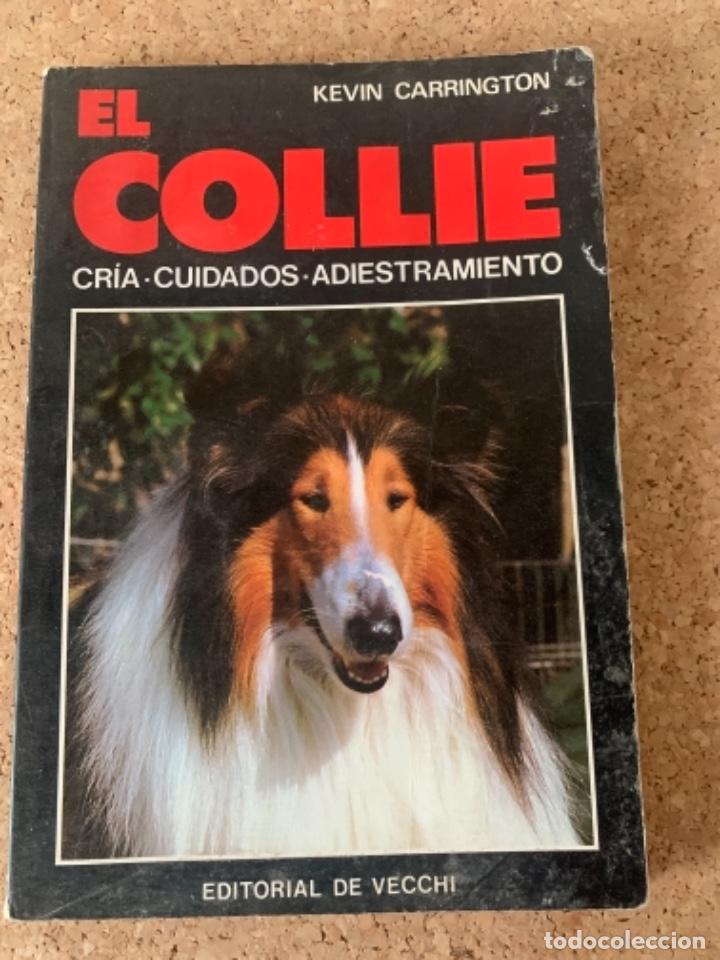 Libros: El collie, cr&iacute;a, cuidados, adiestramiento - Foto 1