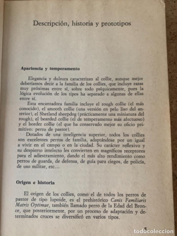 Libros: El collie, cr&iacute;a, cuidados, adiestramiento - Foto 2
